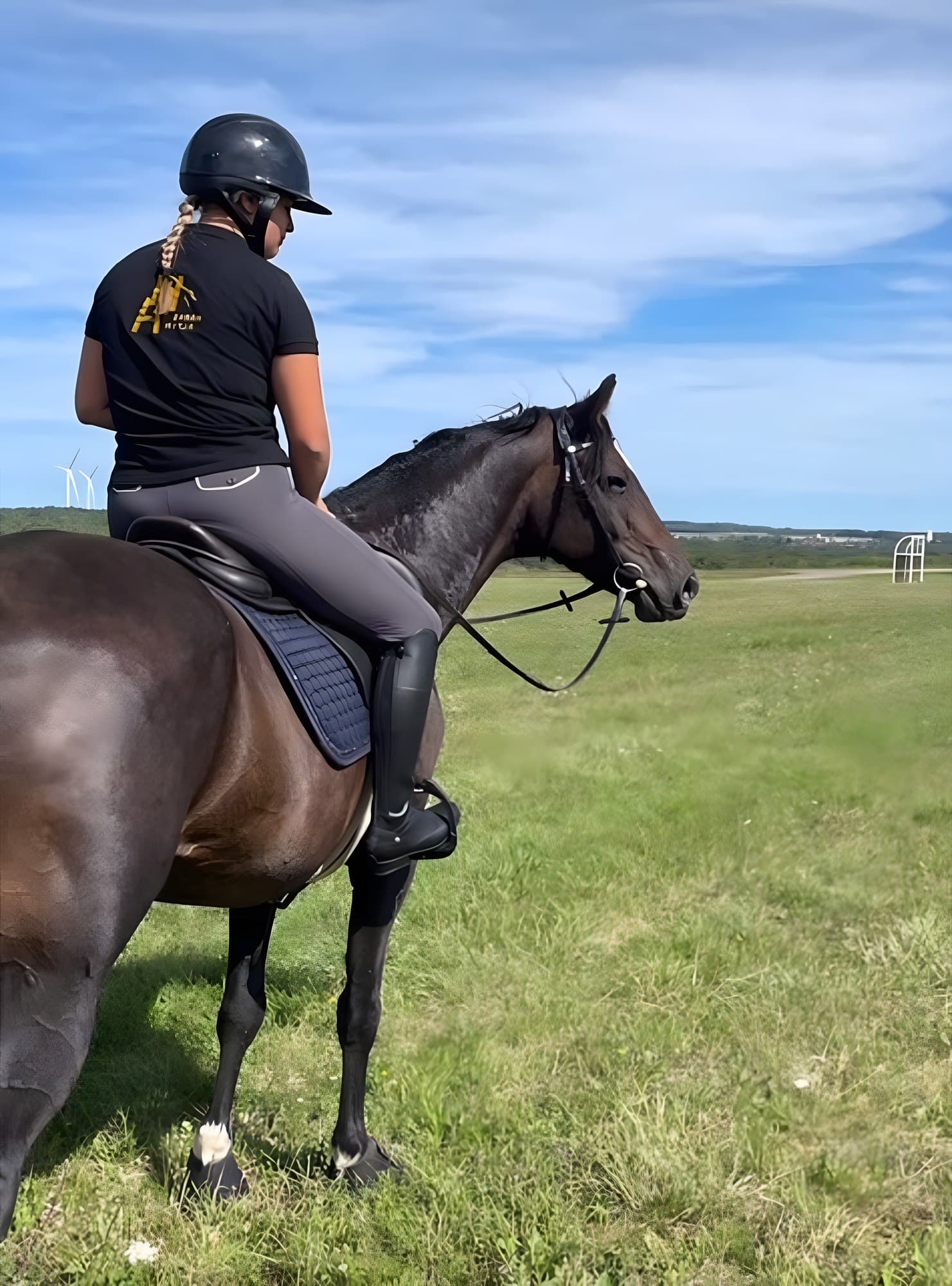 La Pension · Haras Altyn